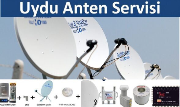 Kavak Antenci